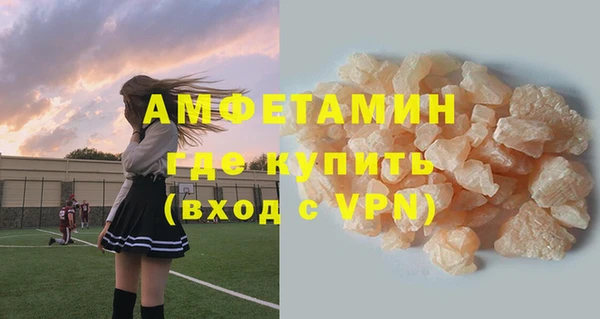 шишки Покачи