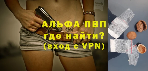 шишки Покачи