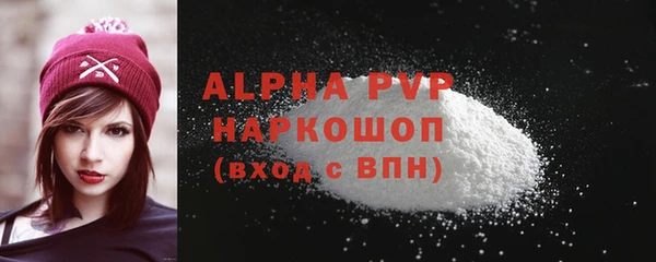 стаф Пересвет