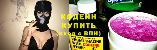 шишки Покачи