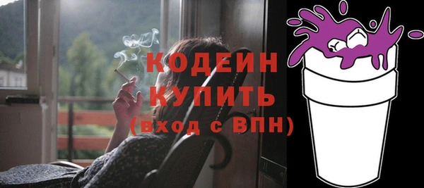 гашик Ветлуга