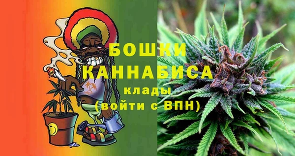 стаф Пересвет