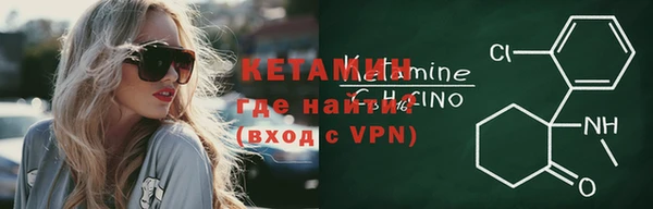 шишки Покачи
