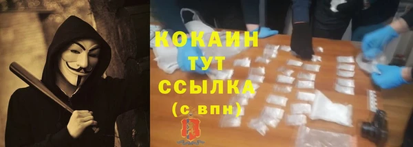 PSILOCYBIN Пестово