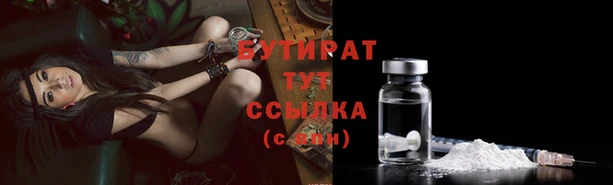 шишки Покачи