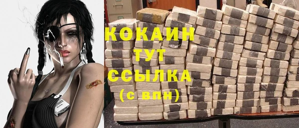 стаф Пересвет