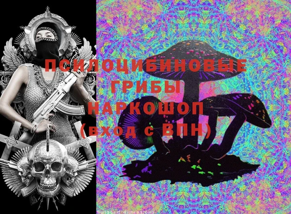 PSILOCYBIN Пестово