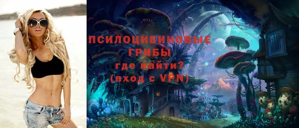 PSILOCYBIN Пестово