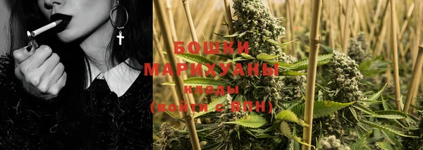 шишки Покачи